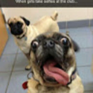 Meet your Posher, Jaden